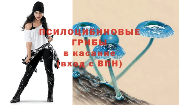 тгк Белокуриха