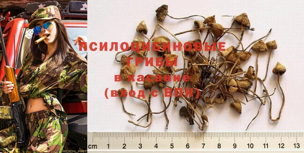 прущие крисы Беломорск