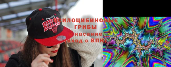 тгк Белокуриха