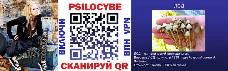 Купить закладки  Тогучин  Галлюциногенные грибы Cubensis 