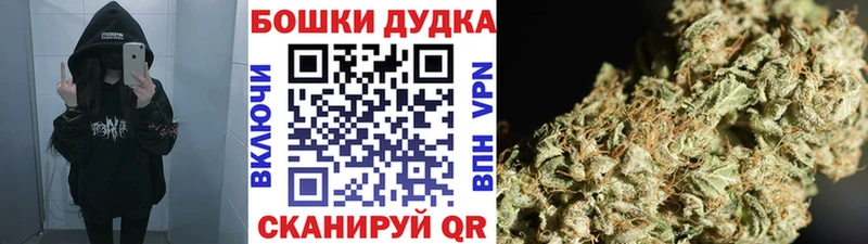 Бошки Шишки сатива Тогучин